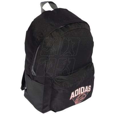 3. Adidas Classic Hoops JG1086 backpack