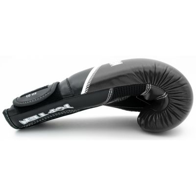2. TOP TEN RTT-4Select Boxing Gloves