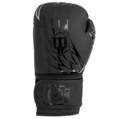 4. RPU-BLACK-EAGLE boxing gloves