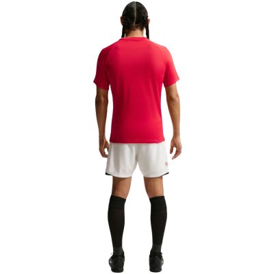 7. Nike Dri-Fit Park VIII Men's T-Shirt Red HV8173 657