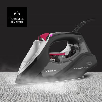 18. Taurus Geyser Eco 2800W Iron