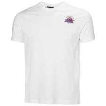 Helly Hansen Core Graphic T 2.0 M T-shirt 54599 002