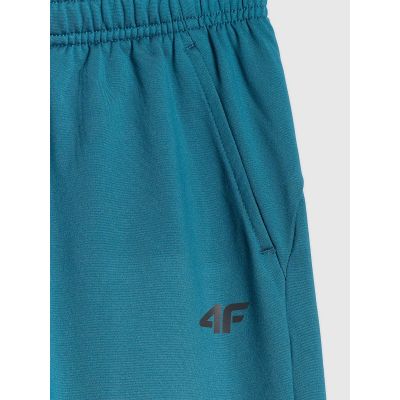 8. Boys' quick-drying sports pants 4F 4FJRSS26TFTRM1460-46S