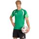Men's adidas Tiro 26 Competition Training Jersey green KA7585
