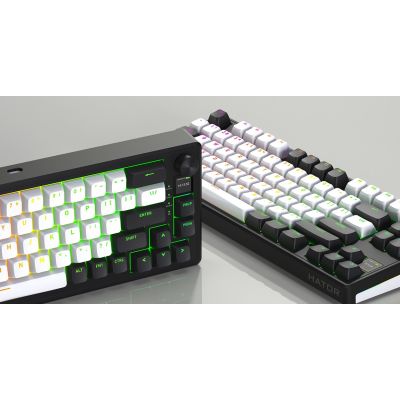 9. HATOR Skyfall 65 MAG ULTIMA 8K wireless keyboard Gaming USB + RF Wireless + Bluetooth QWERTY US English Black, White