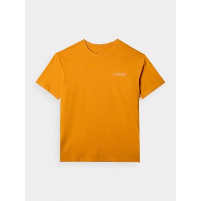 7. Men's oversized printed T-shirt 4F 4FRAW24TTSHM2578-70S