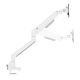 6. Neomounts DS70-250WH2 Monitor Holder/Stand for 81.3 cm (32") Monitors, Desk, White