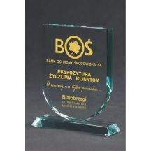 Engraved glass trophy with case + paint filling