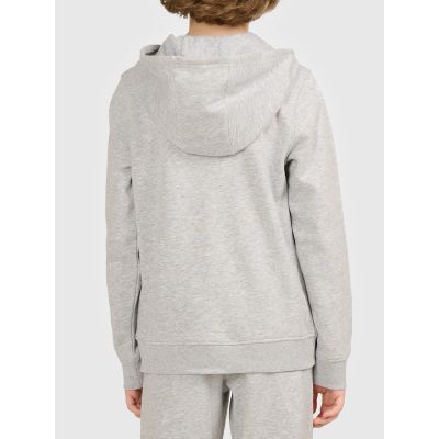 2. Boy's zip-up hoodie 4F 4FJWMM00TSWSM2754-27M