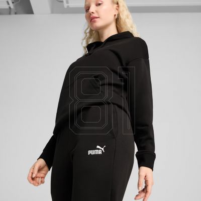 6. Puma ESS Small No. 1 Logo W 682448 01 Pants