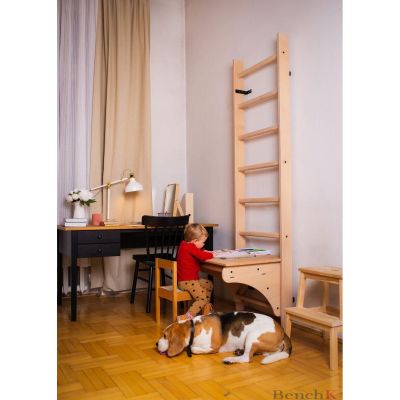5. WOODEN PULL-UP LADDER WITH DESK BENCHK 112