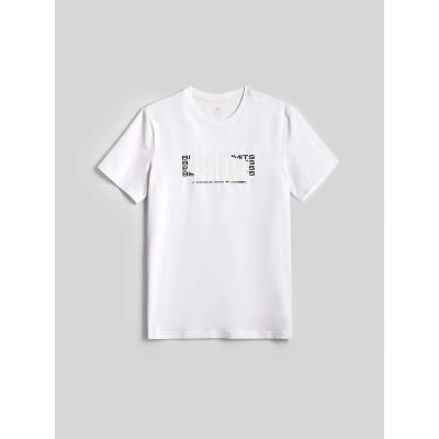 5. Men's slim T-shirt with print 4F 4FRAW26TTSHM4666-10S