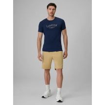 Men's casual shorts 4F 4FRSS26TSHOM0929-83S