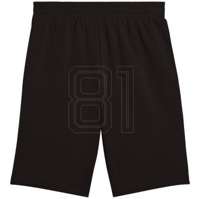 2. Puma Ess 2 Color No. 1 Logo Shorts M 684715 01
