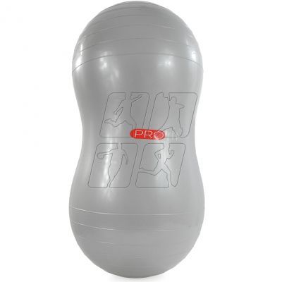 Peanut PROFIT gym ball + DK2107 pump