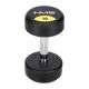 2. Rubber-coated dumbbell 10kg HMS HG PRO 10