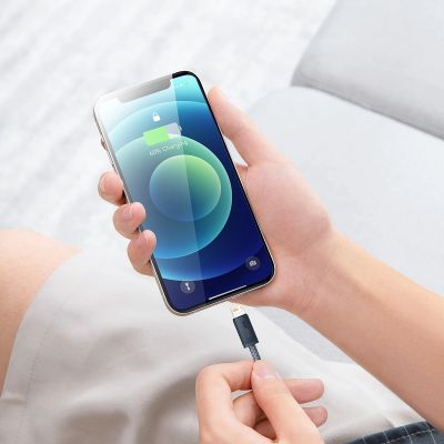 10. Baseus cable for iPhone USB - Lightning 2m, 2.4A gray (CALD000516)