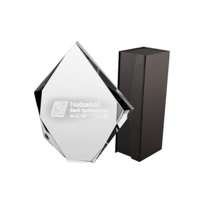 3. 3D engraved glass trophy with case