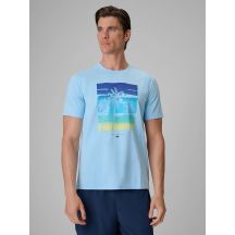 Men's regular printed T-shirt 4F 4FRSS26TTSHM4291-34S