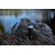 7. Aecooly CamperPack - Camping Pack - multi-function camping set