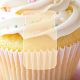 Small VANILLA CUPCAKE YANKEE Candle
