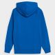 2. Sweatshirt 4F Jr. 4FJSS23TSWSM220 36S