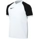 Nike Dri-FIT Trophy VI Kids' T-Shirt White HV8158 100