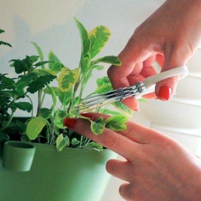 12. HERBS CUT HERB SCISSORS
