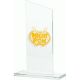 4. Engraved glass trophy + paint filling