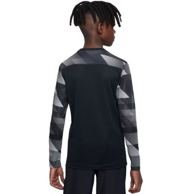 12. Nike Dry Park IV JSY LS GK Jr CJ6072-010 Jersey