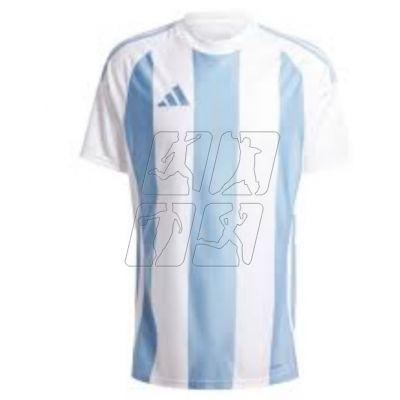 Adidas Striped 24 JSY M T-shirt IW4555