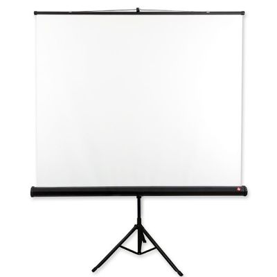 Projection screen on AVTEK Tripod Standard 175 stand (manually unrolled; 175 x 175 cm; 1:1; 97")