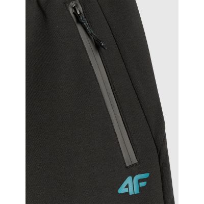 8. Men's jogger sweatpants 4F 4FRSS26TTROM2110-20S
