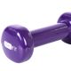 8. Profit vinyl dumbbell 0.5kg DK 4102
