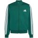 2. adidas Essentials Climacool Green Kids' Sweatshirt KR2147
