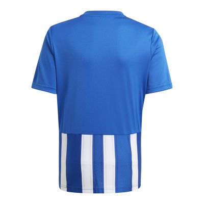 4. adidas Striped 21 Jr T-shirt GH7323