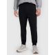 Men's jogger sweatpants 4F 4FRMM00TTROM1624-20S