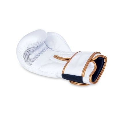 7. 10oz Boxing Gloves - Spirit - Valor Series