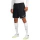 10. Nike DF Shorts DH8111-010
