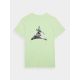 7. Men's regular printed T-shirt 4F 4FRAW24TTSHM2301-41S