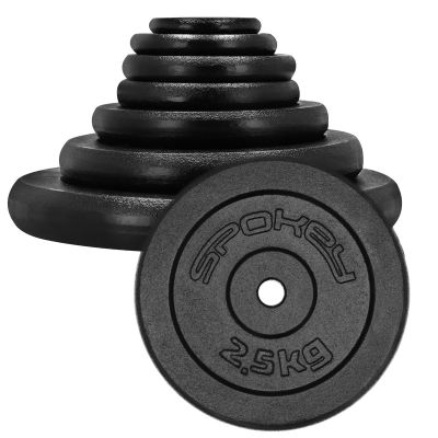 3. Cast iron weight 2.5kg Spokey Sinis SPK-944483