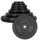 3. Cast iron weight 2.5kg Spokey Sinis SPK-944483