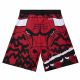 2. Mitchell & Ness NBA Chicago Bulls Jumbotron 2.0 Sublimated Shorts