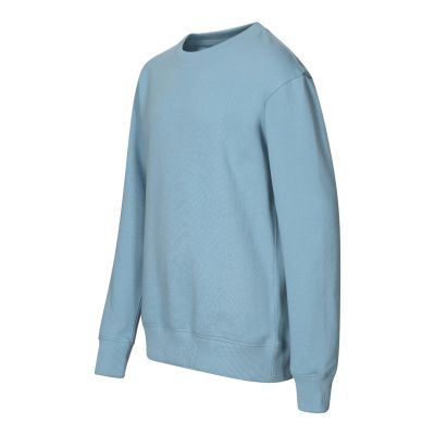 Children's Crew Sweatshirt (Blue)