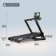 16. NORDICTRACK ELECTRIC TREADMILL T16