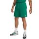 Nike Club Men's Shorts Green FQ4359 365 2XL