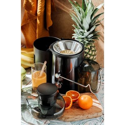 7. ADLER AD 4132 juicer