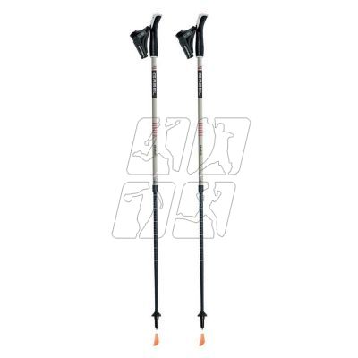 Nordic Walking Gabel Strech Ice poles 7008352630000