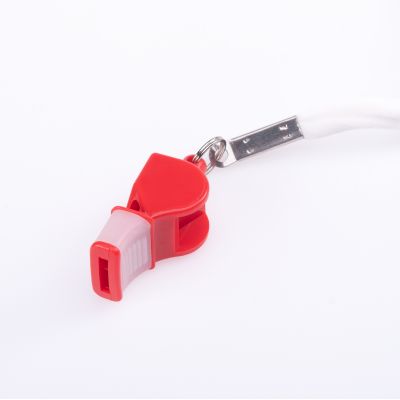 2. Whistle SWIST