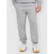 2. Men's jogger sweatpants 4F 4FRAW25TTROM1832-27M